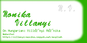 monika villanyi business card